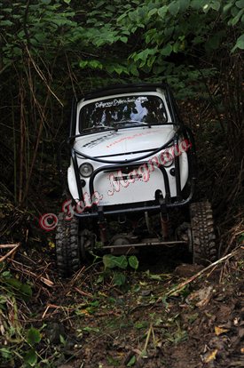 DSC_3768.jpg